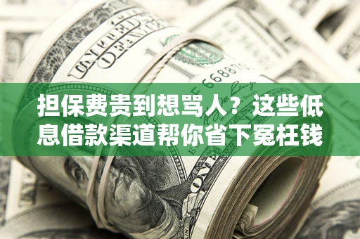 济南担保费贵到想骂人？这些低息借款渠道帮你省下冤枉钱