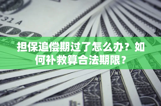济南担保追偿期过了怎么办？如何补救算合法期限？